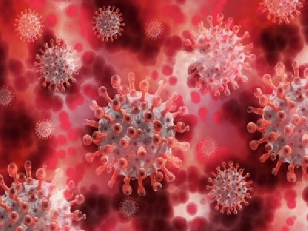 1601 са новите случаи на коронавирус (Обновена)