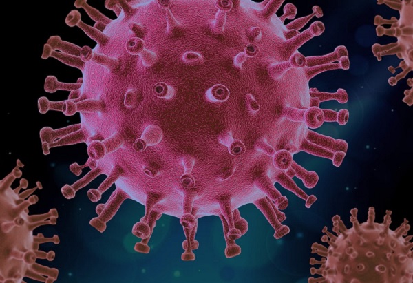 25 са новите случаи на коронавирус за последното денонощие, показват
