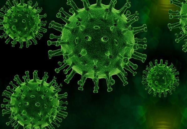 От направените 122 теста за коронавирус за последното денонощие нито